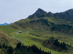 Adlerhorst am Fuße der Kanzelwand