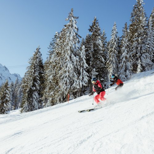 Skifahren im Winterwonderland