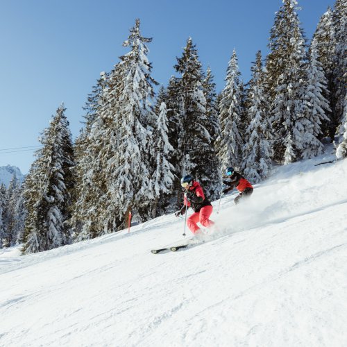 Skifahren im Winterwonderland