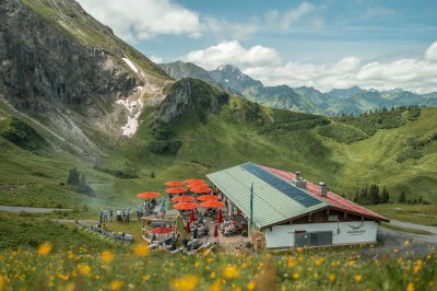 Adlerhorst im Sommer