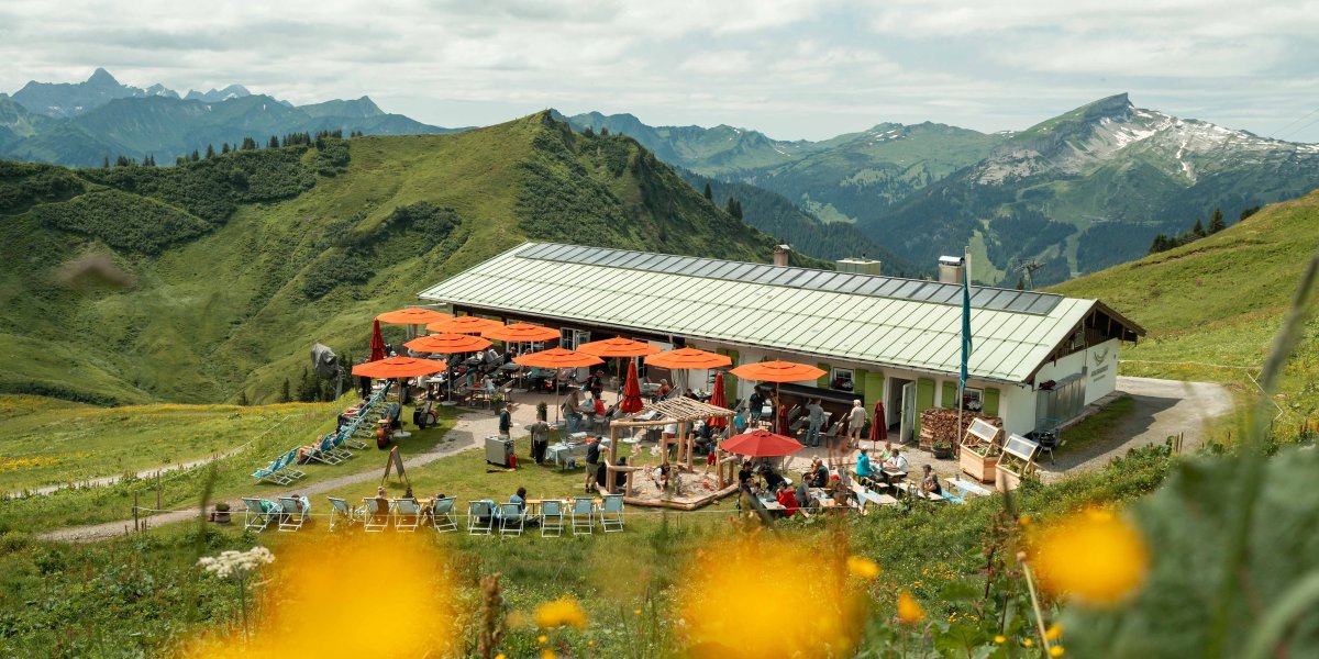 Sommerwiesen vor dem Adlerhorst