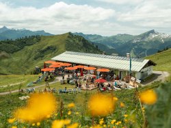 Sommerwiesen vor dem Adlerhorst