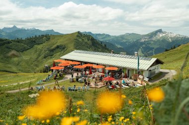 Sommerwiesen vor dem Adlerhorst