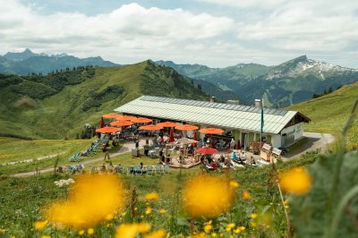 Sommerwiesen vor dem Adlerhorst