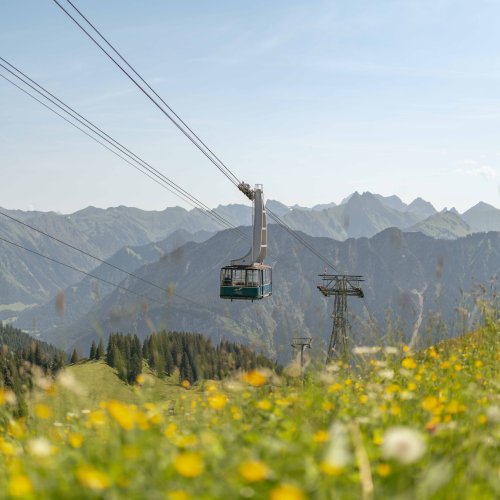 Kabine über Bergblumen