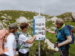 Geführte Wanderung 7