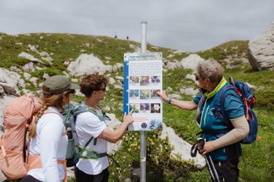 Eine Gruppe von Wanderern betrachtet eine Tafel mit Informationen über die Natur im Gebirge an einem sonnigen Tag.