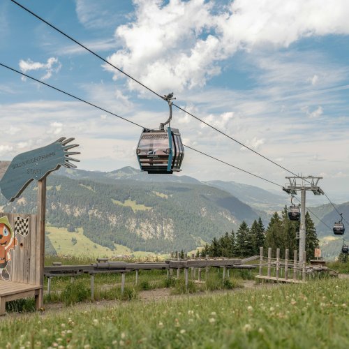 Eine Gondel fährt über die grüne Wiese in den Schweizer Bergen. Die Landschaft ist atemberaubend und zeigt die Natur.