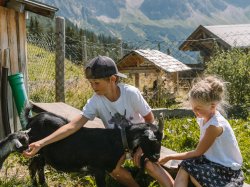 Tiere auf der Kuhgehrenalpe