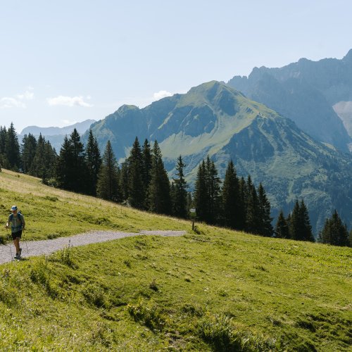 Wandern vor dem Widderstein