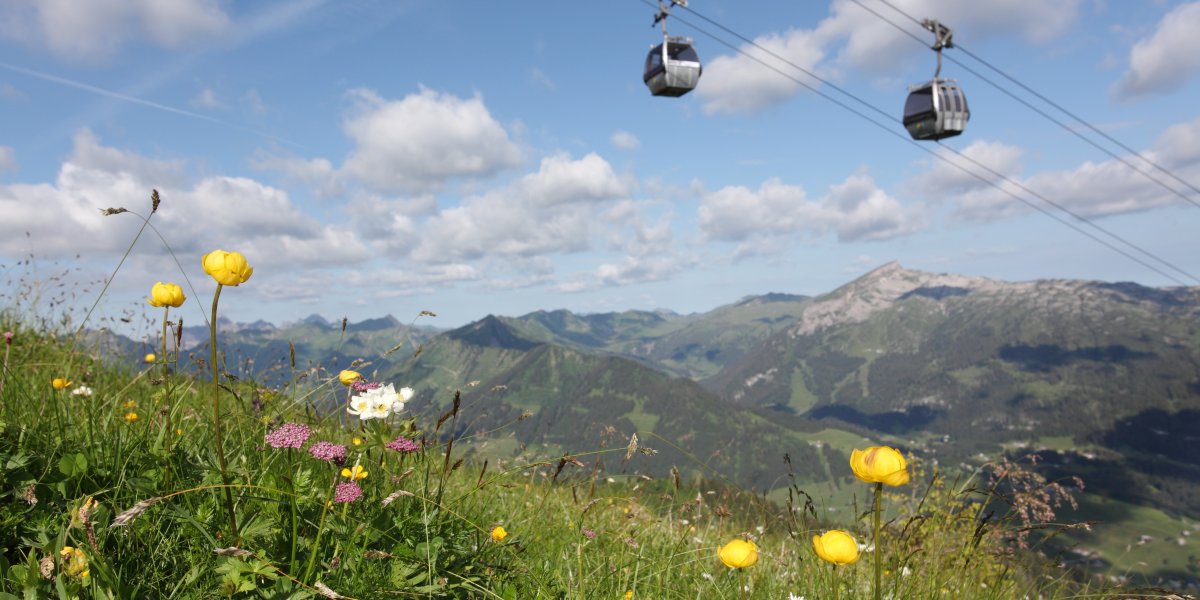 Kanzelwandbahn im Sommer