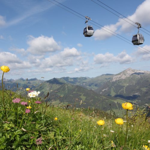 Kanzelwandbahn im Sommer