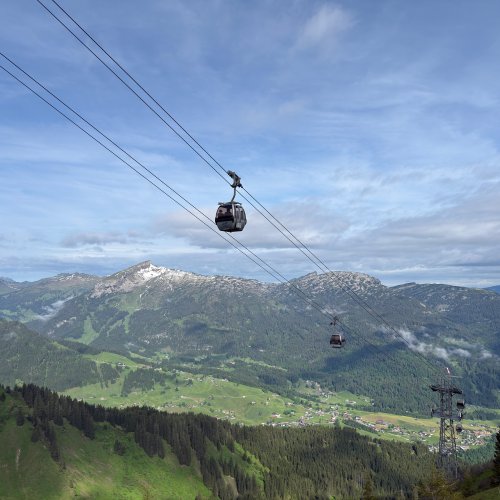 Ein Blick auf die Seilbahn über grüne Berge und Waldbäume am frühen Morgen in den Alpen.