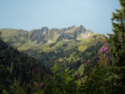 Panorama zwischen Heuberg und Walmendingerhorn