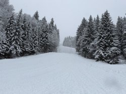 Winterwunderland Söllereck im November