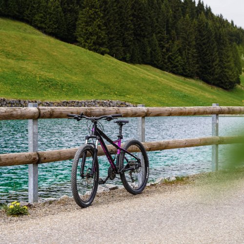 mit Mountainbike am Heuberg