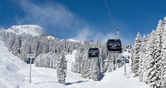 Die neue Bahn Die Seilbahn bringt Gäste über verschneite Hänge und Nadelbäume in einem schönen Berggebiet am Tag.