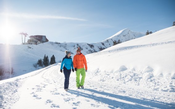 Spaziergang in den Sonnenuntergang