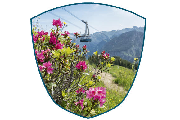 Adler7 Sommer Fellhorn