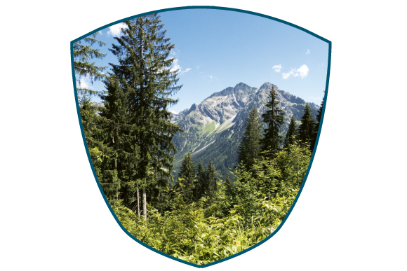 Adler7 Sommer Heuberg