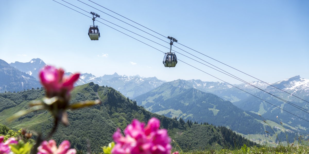 Eine Bergbahn schwebt über eine blühende Wiese mit bunten Blumen in den Alpenan eine sonnige Tageszeit.