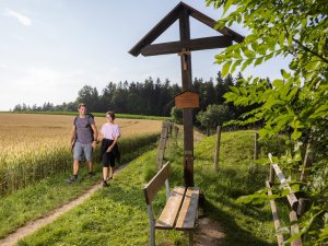 Konohof Richtung Sternwarte Bildnachweis Louis Zuchtriegel