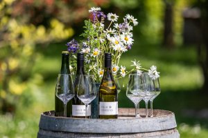 Pala+Emmerich Weinprobe