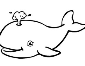 Walfisch neu