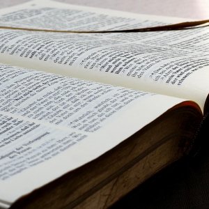 Bibel by Gabi Fleischmann, in: pfarrbriefservice.de