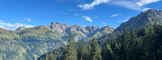 Bergpanorama Herbst