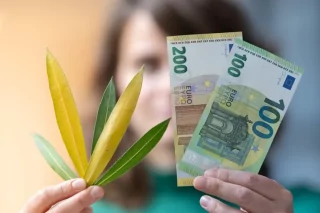 Nachhaltig-Geld-anlegen