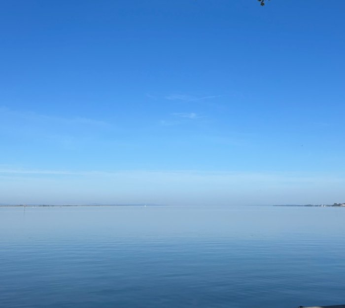 Chorausflug Bregenz Bodensee HP