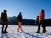 Pferdegestuetzes-coaching-pgc-allgaeu (1)