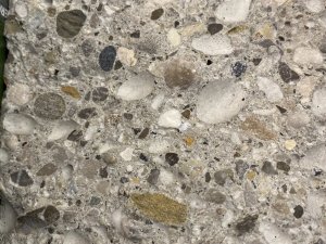 IMG 7161