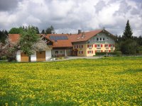 Prestelhof im Frühling