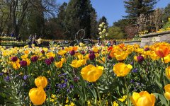 Insel Mainau Brunnenarena