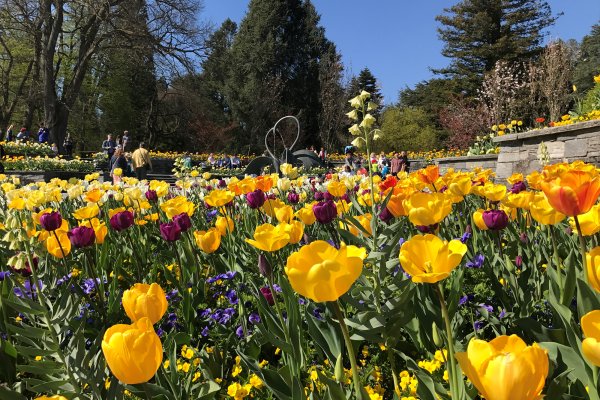 Insel Mainau Brunnenarena