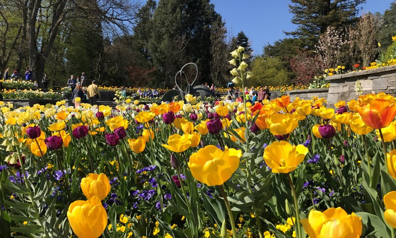 Insel Mainau Brunnenarena