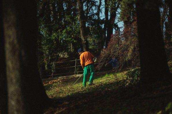 Mann arbeitet im Garten an einem sonnigen Tag Ein Mann mit orangefarbenem Oberteil und grüner Hose arbeitet im Garten. Es ist sonnig und die Bäume sind grün.