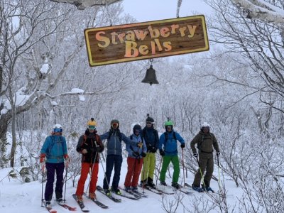 Niseko - Variante Strawberry Bells