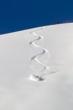 Mike Wiegele