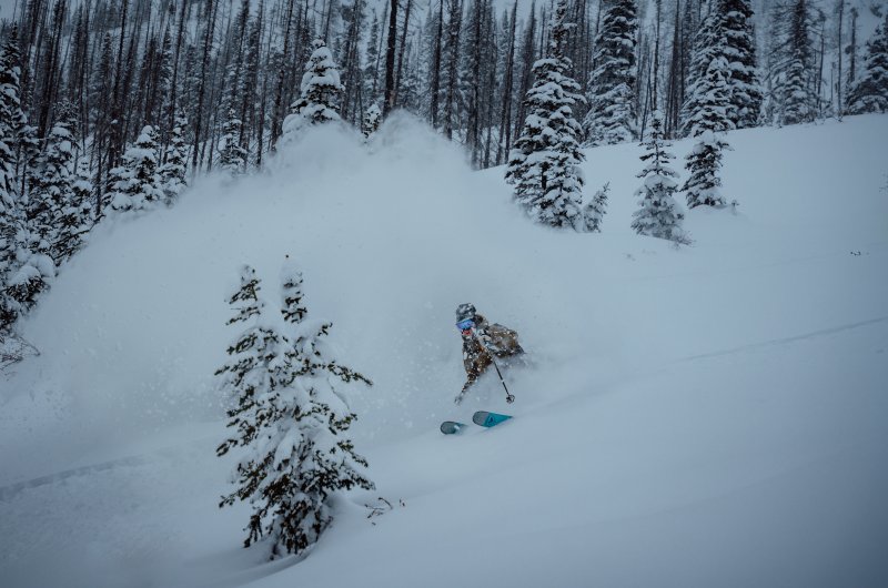 Skifahrer II