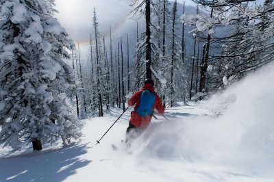 Skiing im burned forest Silvertip, Powder, Skiing in burned forest