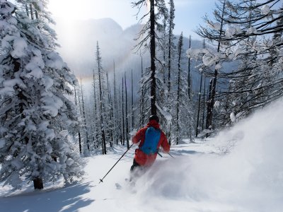 Skiing im burned forest