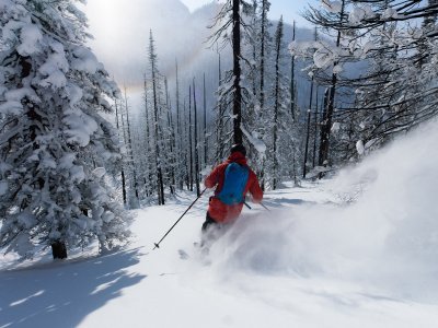 Skiing im burned forest