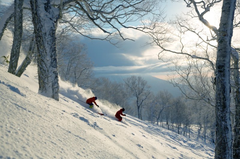 Freeriden Niseko