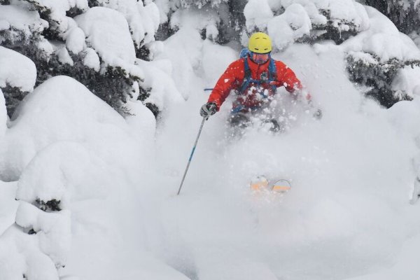 Tree-Skier,-Great-Snow,-Danny-Stoffel