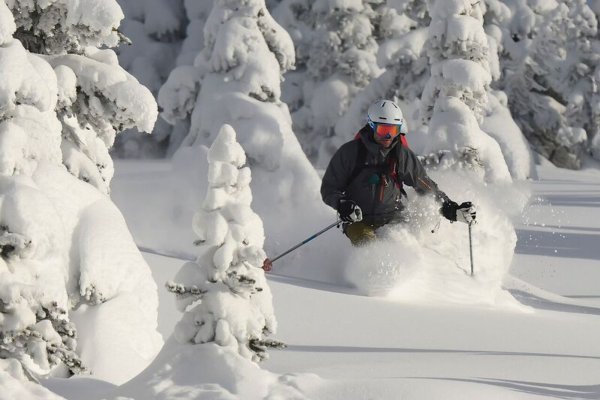 Male Skier, Trees, Danny Stoffel
