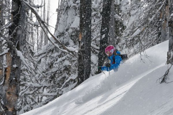 Female Skier, Trees, Craig McGee
