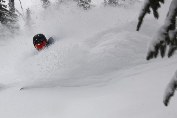CMH Heli-Skiing